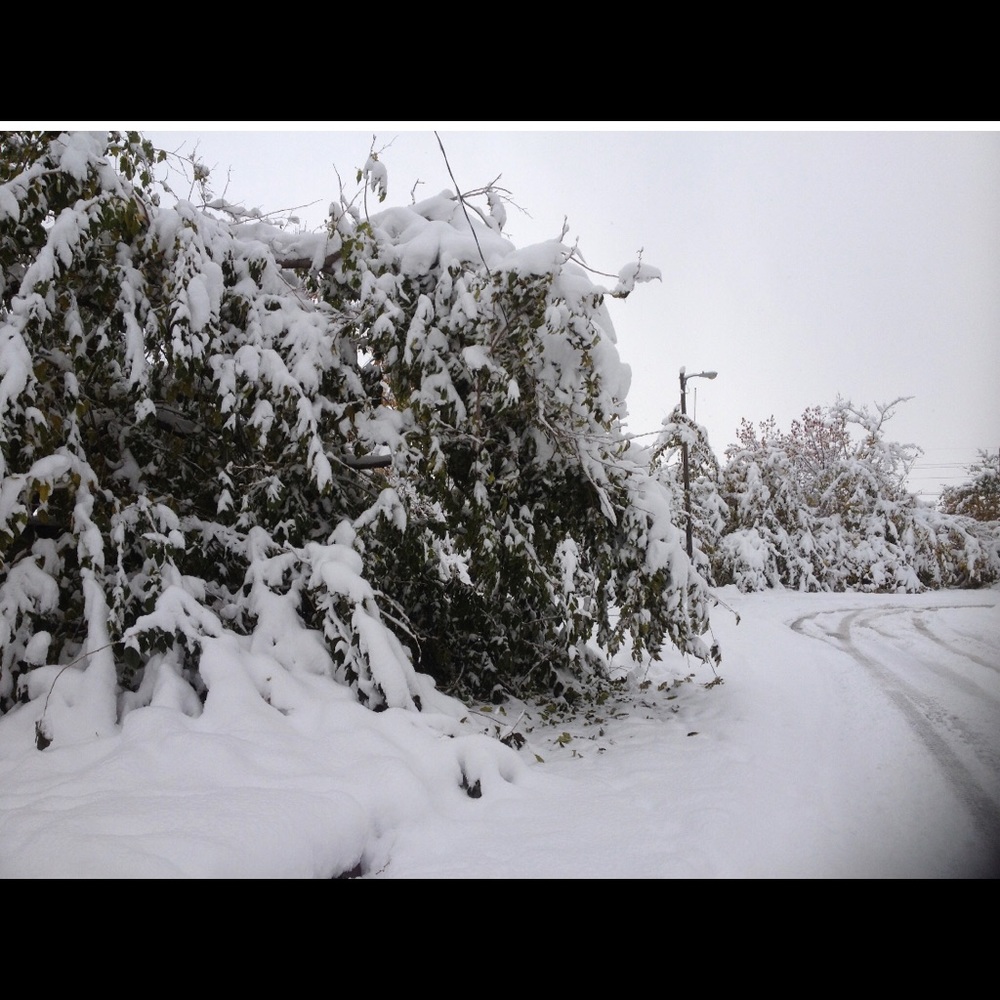 Pics of snow and spring. Some of Duchesne & SLC.